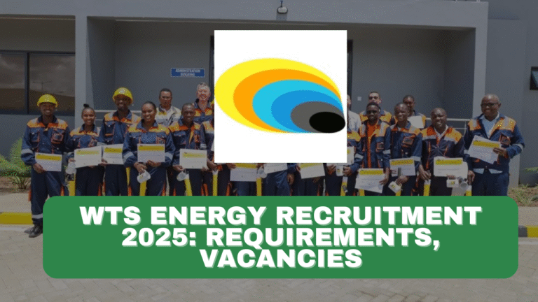 WTS Energy Recruitment 2025/2026 Application Form Portal